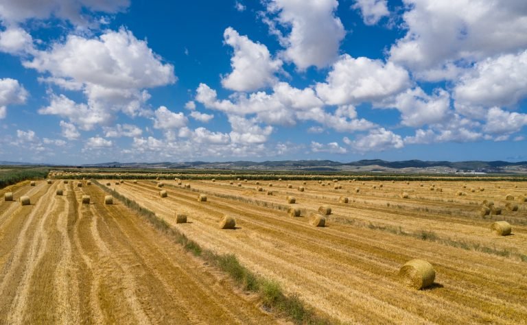 DJI_0115 (1)